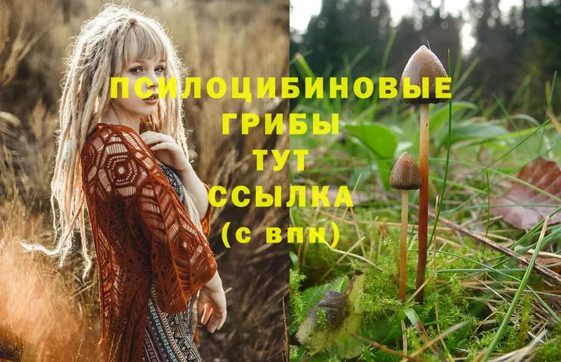 Галлюциногенные грибы Magic Shrooms  Мамадыш 